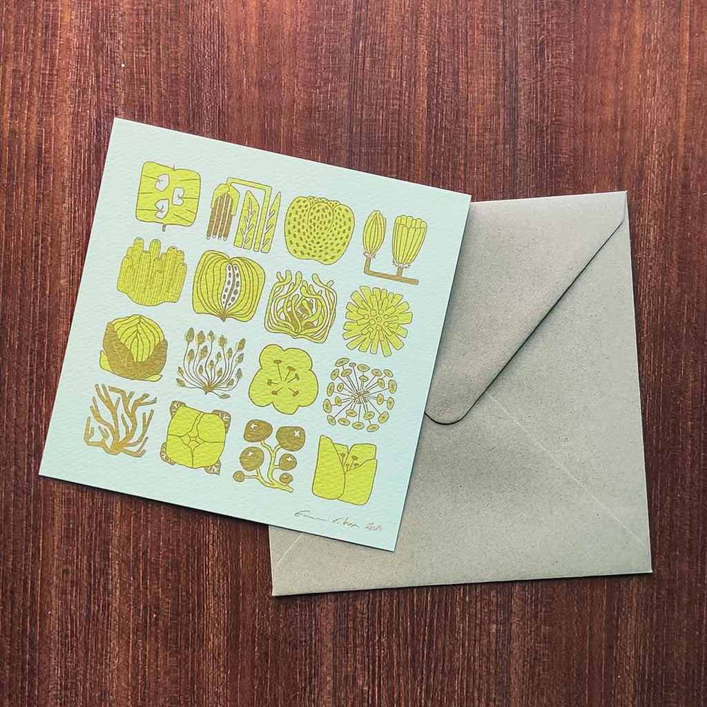 Kvadratisk växtlighet - Vykort