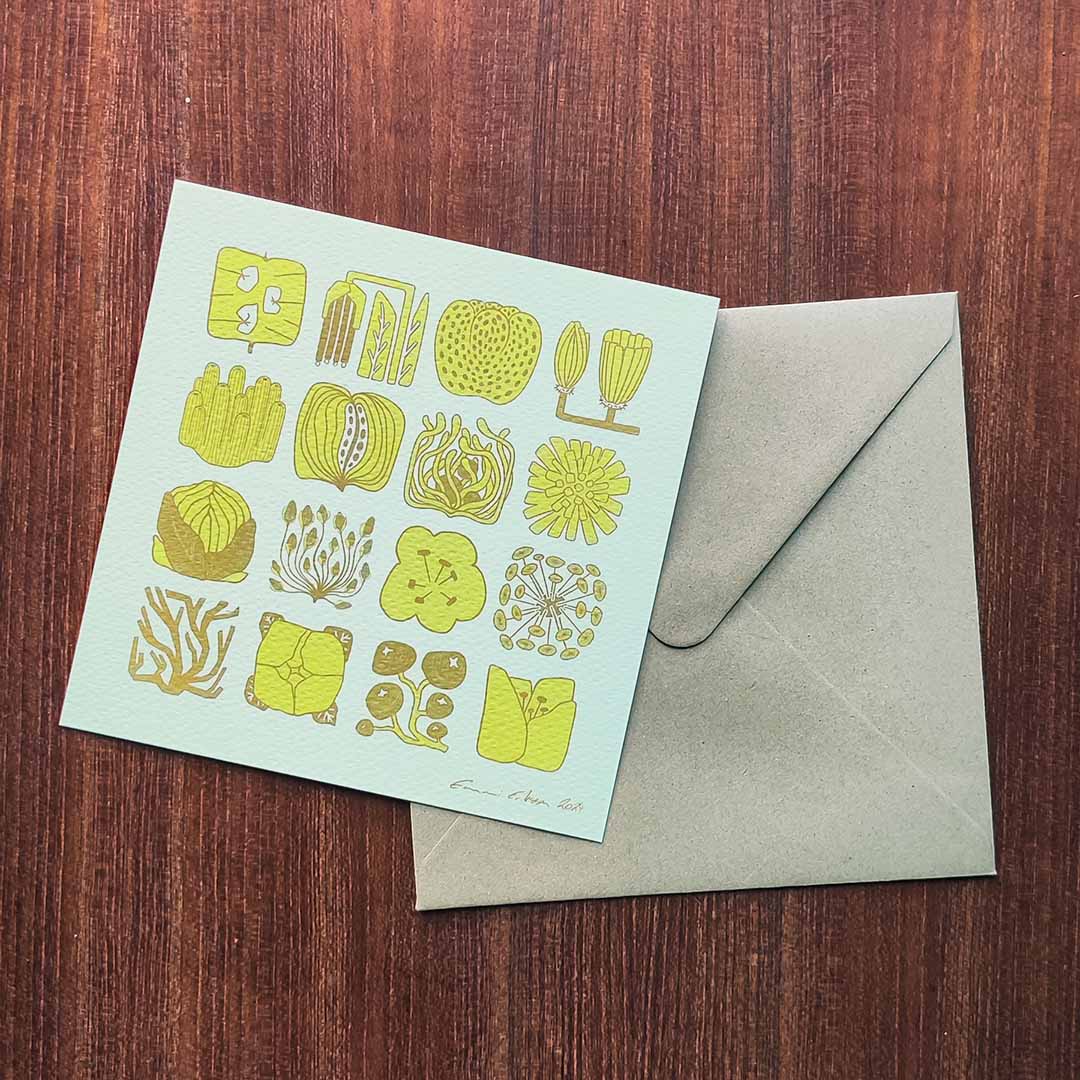 Kvadratisk växtlighet - Vykort