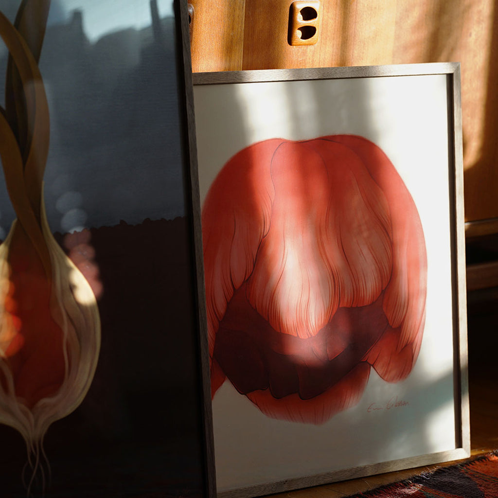 Sovande tulpan - Print